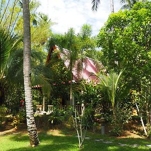 Deluxe Bungalow